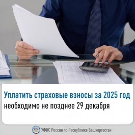 �������� ��������� ������ �� 2025 ��� ���������� ���������29��������