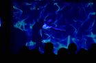 ������������� ��������� ����������� ����������� ���������������� �������� 